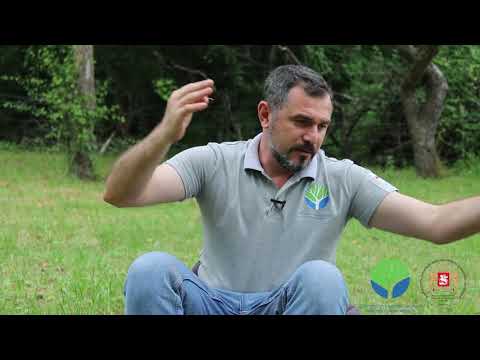 დაიცავი ბუნება და იქნები დაცული - დავით კაკულია, ჟურნალისტი