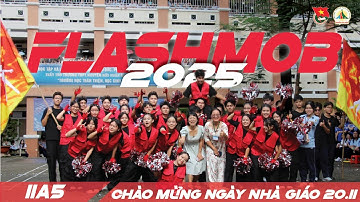 11A5 | FIRESTORM [HỘI THI FLASHMOB CHÀO MỪNG 20/11 NĂM HỌC 2025 - 2026]