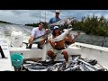 BEST DAY I'VE EVER SEEN (WE CAUGHT OUR LIMIT) |Commercial kingfishing| (Commercial Fishing)