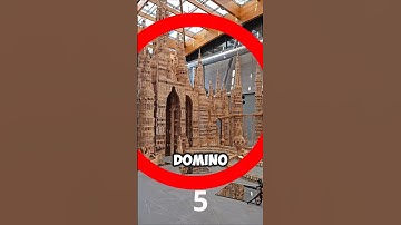 Is This the Most Beautiful Domino Collapse You’ve Ever Seen? 🧩✨