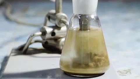 Mixing Soil Sample Stock Video