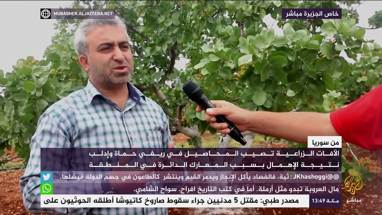 الآفات الزراعية تصيب المحاصيل في ريفي حماة وإدلب بسبب الحرب