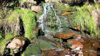 March Haigh Res Marsden 4K Walk 21 Sept 19 6A,7A