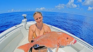 2 Hours of the World's BEST American Red Snapper Fishing!! *Catch, Clean & Cooks*