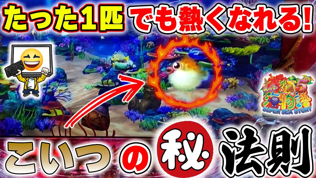 【遊722連】Pスーパー海物語IN沖縄5!ハリセンボンが1匹だけ?ノープロブレム!!こいつには激熱になる㊙法則がある!!編集者Tのリフレッシュ海パチ!#735