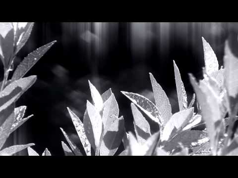 persephone--third-eye-blind-music-video