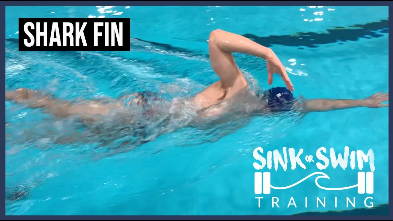 SHARK FIN YouTube