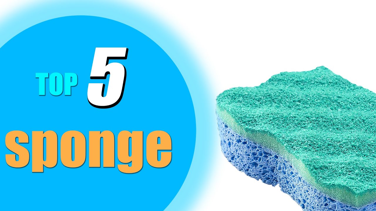 Top 5: Best sponge 2022 in USA and Canada |Odor-Resistant|Non-Scratch| Dish Cleaning|