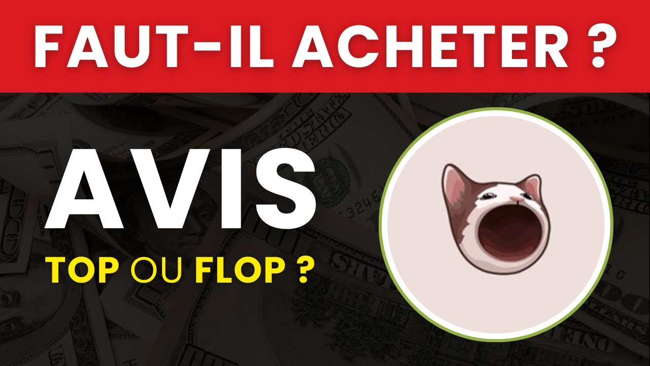 POPCAT COIN : Faut-il Acheter cette Crypto ? Est-ce une Arnaque ? | Analyse  & Avis en 2025