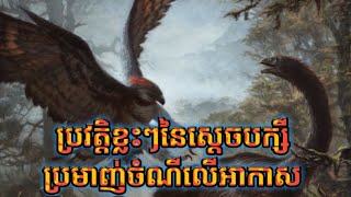 ប្រវត្តិខ្លះៗនៃស្ដេចបក្សីប្រមាញ់ចំណីលើអាកាសsaemvorn