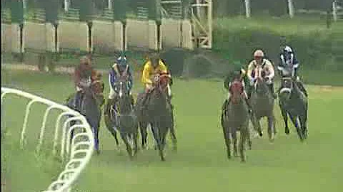 Fiorelle with C Alford up wins The Desiree Handica...