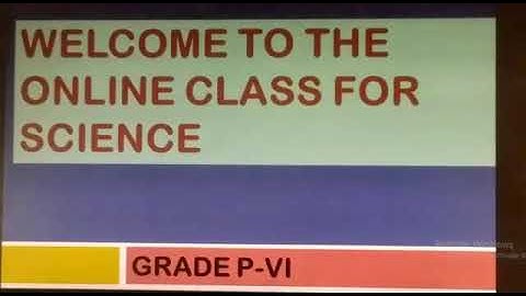 PVI SCIENCE LESSON:29 (CHP:2 EXERCISE PAGE-31) Dated:18/6/2020