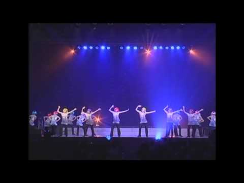 Dandelion 蒲公英  | The Fantasy Journey of Music
