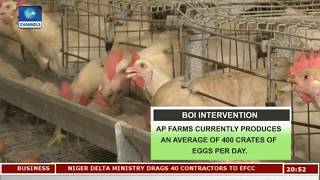 BOIs Intervention In Egg Production Pt 2 | BOI Weekly |