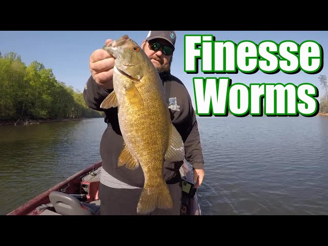 Spring Bass on a Finesse Worms 