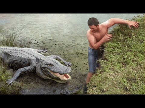 Самые Безумные Нападения Животных На Людей От Которых Ты Офигеешь