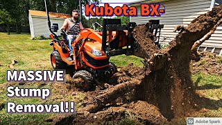 Kubota BX- Removing Large Bushes   Tearing Out A GIGANTIC Stump!! (JD 1023E Helps!)
