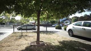 Faux Crane The Zhiyun Crane Zw-B02 Remote Boom Pole Test