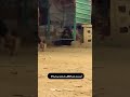 أيست من الكل ستوريات حسينيه انا لله وانا اليه راجعون الله يرحمه حزين دعاء أيست من الكل ستوريات حسينيه انا لله وانا اليه راجعون الله يرحمه حزين دعاء
