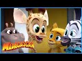 DreamWorks Madagascar | We are a team! | Madagascar: A Little Wild | Kids Movies