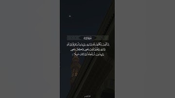 تلاوة من سورة النساء لمحمد أيوب. #القرآن_الكريم