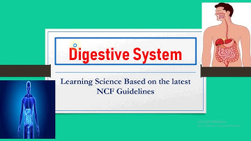 Digestive System | Indigestion | Hunger | Good Eating Habits for proper digestion