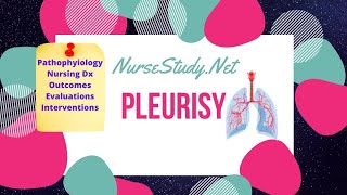 Pleurisy Pathophysiology Care Plan for Nursing Students NCLEX Help