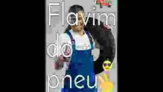 Flavim Do Pneu