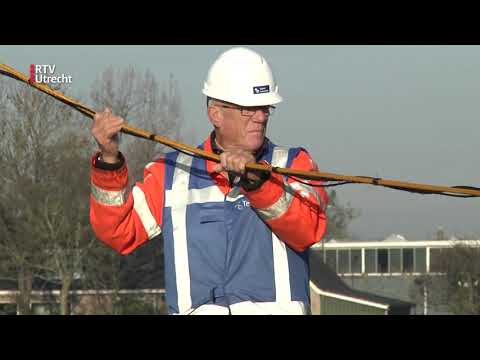 Lampjes ophangen in de grootste kerstboom, da's een hele klus [RTV Utrecht]