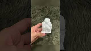 Pet Paw Hand Cast
