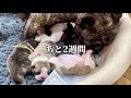 出産まであと2週間をきりました!!