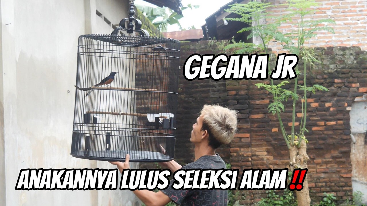 LANGSUNG GREBEK KE PERAWATNYA PAGI PAGI !!