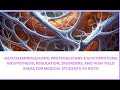 Glycosaminoglycans, Proteoglycans &amp; Glycoproteins:  High Yield Points To Note!
