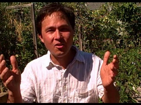 וִידֵאוֹ: איך להתיידד עם גינון - טיפים לשיתוף צמחים וירקות