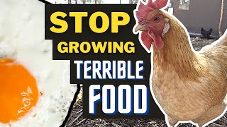 Why (Most) Homesteaders Raise Tasteless Food by PJ Howland 1,757 views 1 year ago 8 minutes, 22 seconds