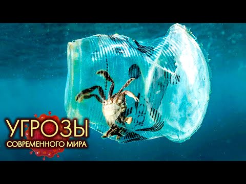 Пластиковые отходы | Угрозы современного мира