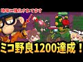 【ブロスタ】ミコ野良1200達成！隠れ強化で金庫を削れ！【ゆっくり実況】