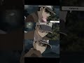 #kudoshinichi 😂