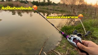 หมายเด็ดหนองปลาใหล นานๆออกที🎣