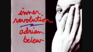 Birds - Adrian Belew chords