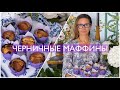 БЕЛОНИКА и Александр Селезнёв готовят ЧЕРНИЧНЫЕ МАФФИНЫ / Прямой Эфир ЧАСТЬ 1