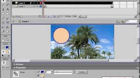 how to use mask effect on adobe flash.flv
