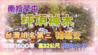 坪頂神木:位於南投縣草屯鎮坪頂里七股社區內,據傳樹齡已有一千六百年,高度32公尺,樹違約8公尺,是台灣排名第三位的樟樹神木,當地居民尊稱為樟樹公與樟元真君.