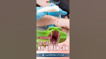 Rắn Cắn? 90s Sơ Cứu Cấp Tốc Cứu Mạng! #SoCuuRanCan #RanCan #KienThucSoCuu #VTVSucKhoe #shorts