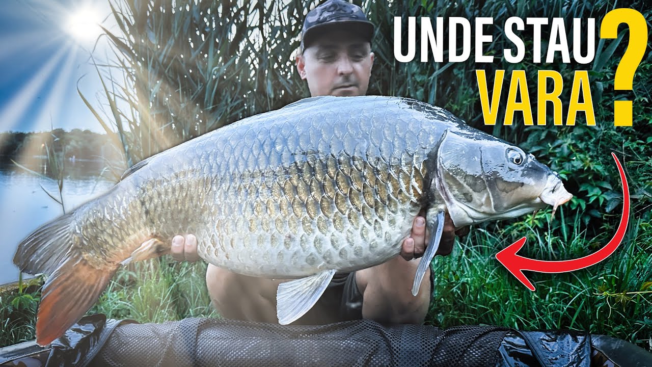 Unde si Cum Sa Prinzi Crapi Mari pe Canicula – Ghid Complet de Vara