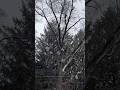 Rain Has Changed Over to Snow