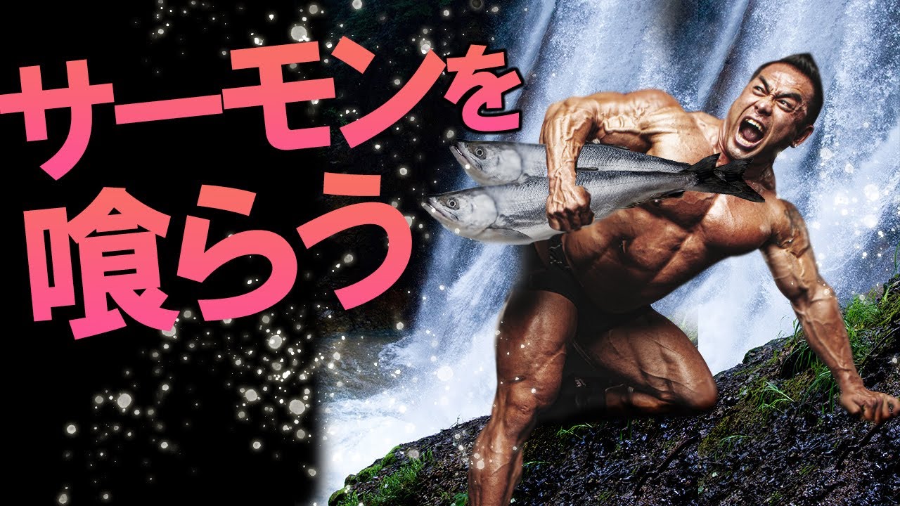 I tried making a hearty bulk-up dish using a giant salmon [Hide
