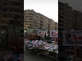 المنشيه اسكندريه