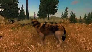 Wolf Simulator 3D: Wild Hunt 9 screenshot 4