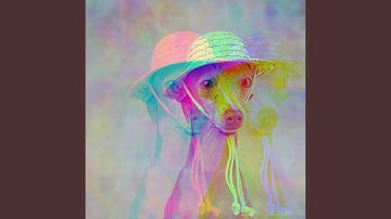 Pulsating Sleepy Hound Zone